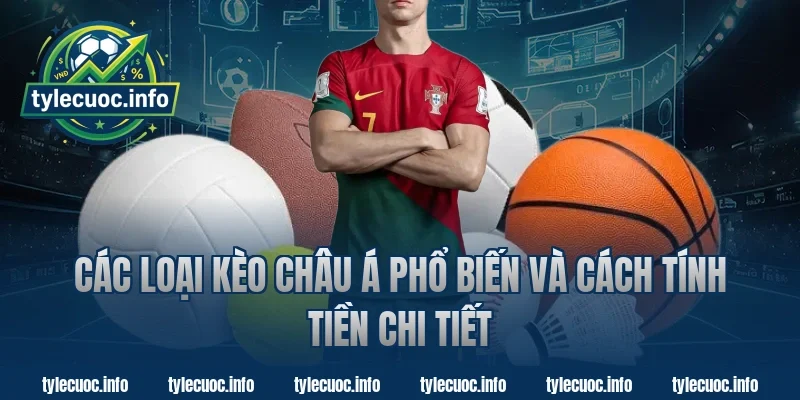 Các loại kèo châu á phổ biến và cách tính tiền chi tiết