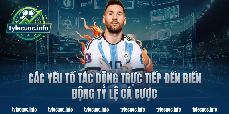 Các yếu tố tác động trực tiếp đến biến động tỷ lệ cá cược