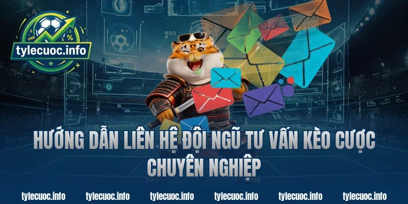 Hướng Dẫn Liên Hệ Đội Ngũ Tư Vấn Tỷ Lệ Cược Chuyên Nghiệp