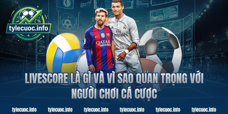 Livescore là gì và vì sao quan trọng với người chơi cá cược