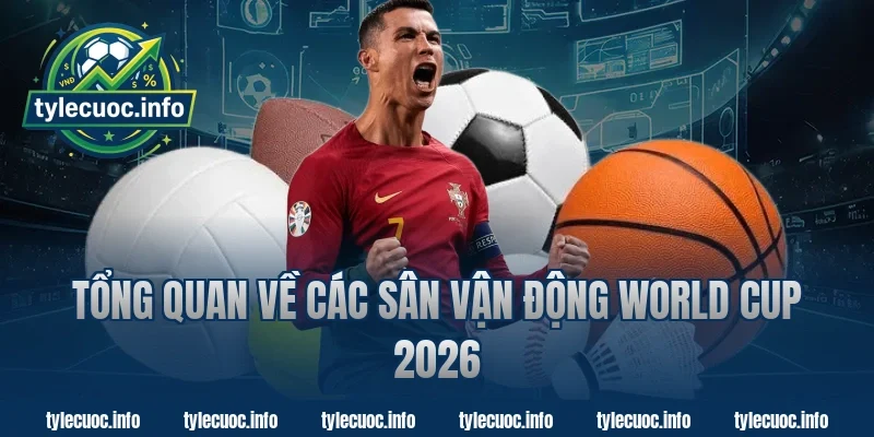 Tổng Quan Về Các Sân Vận Động World Cup 2026