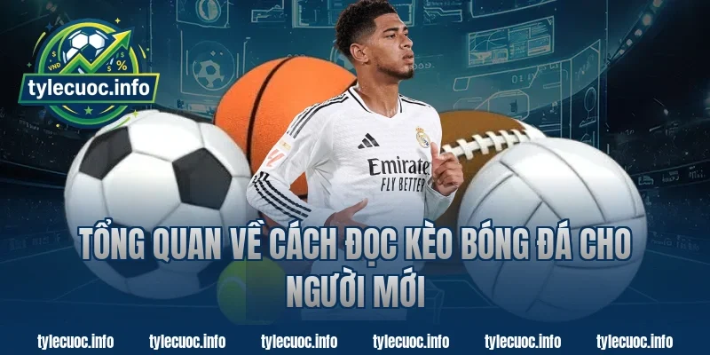 Tổng quan về cách đọc kèo bóng đá cho người mới