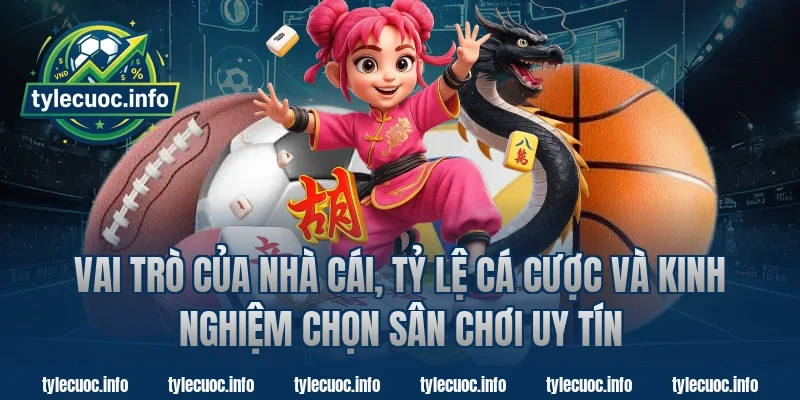 Vai trò của nhà cái, tỷ lệ cá cược và kinh nghiệm chọn sân chơi uy tín