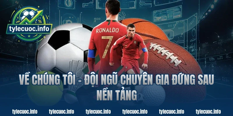 Về Chúng Tôi – Đội Ngũ Chuyên Gia Đứng Sau Nền Tảng